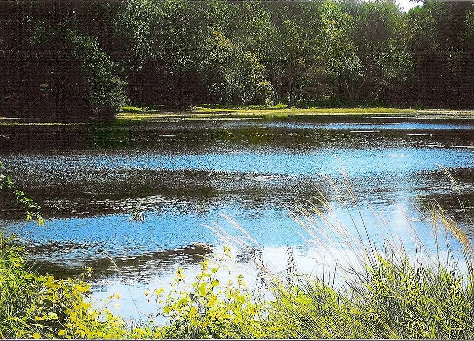 Ben’s Pond