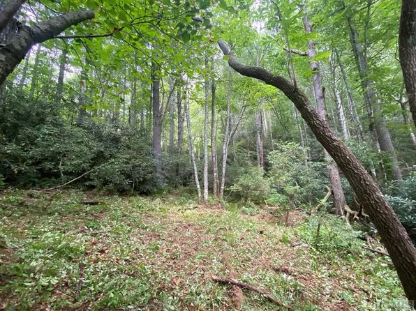 Lot 8 Wandering Ridge, Cashiers, NC 28717