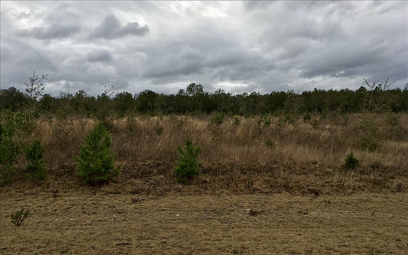 1st image of NE River Trace Trl