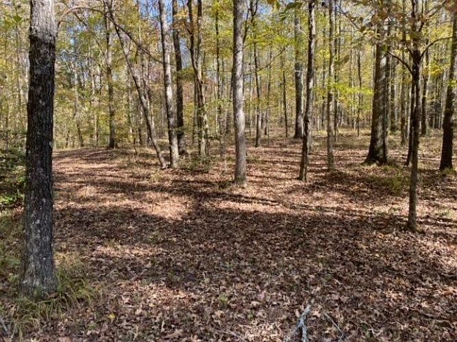 2nd image of Nelson Store Rd