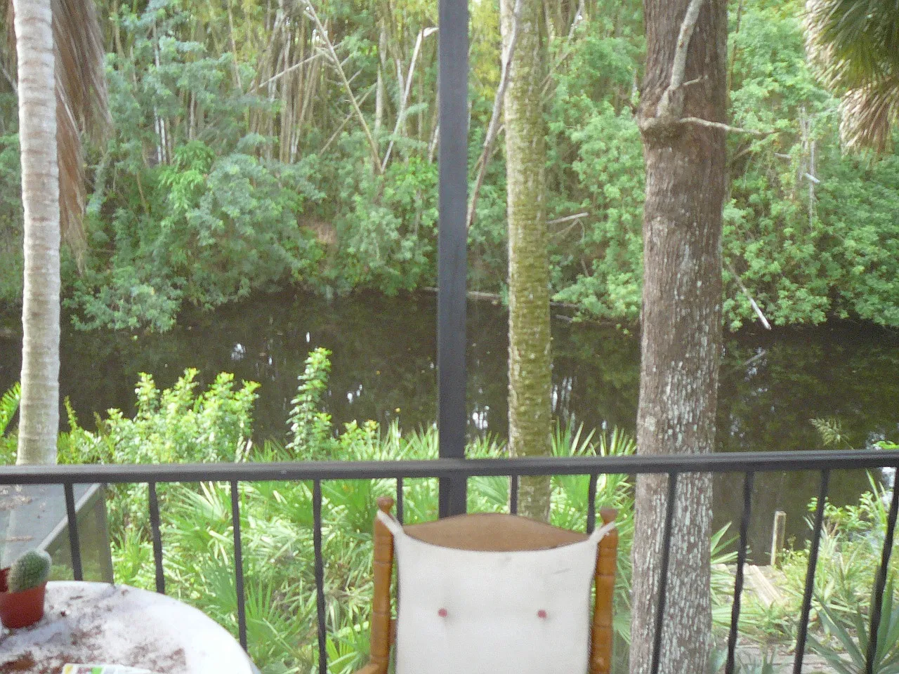 2 bed, 1000 sqft, $2,200 — Photo 2