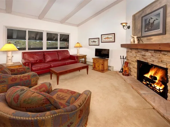 311 S High St APT 209, Breckenridge, CO 80424