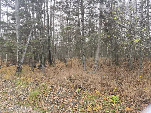 9280 S Overlook Dr, Wasilla, AK 99623