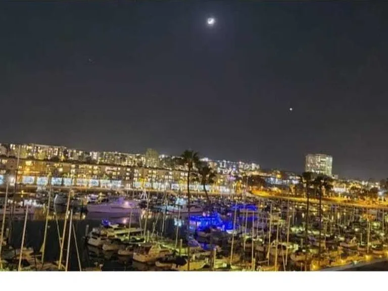 4335 Marina City Dr #340 — Photo 45