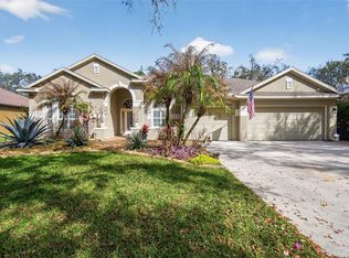 15020 Eaglerise Dr, Lithia, FL 33547