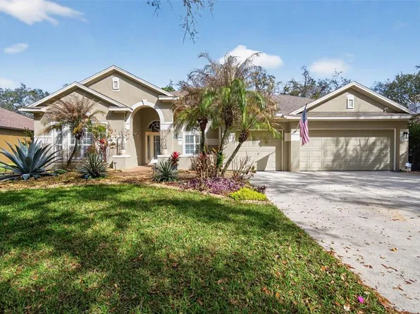 15020 Eaglerise Dr, Lithia, FL 33547