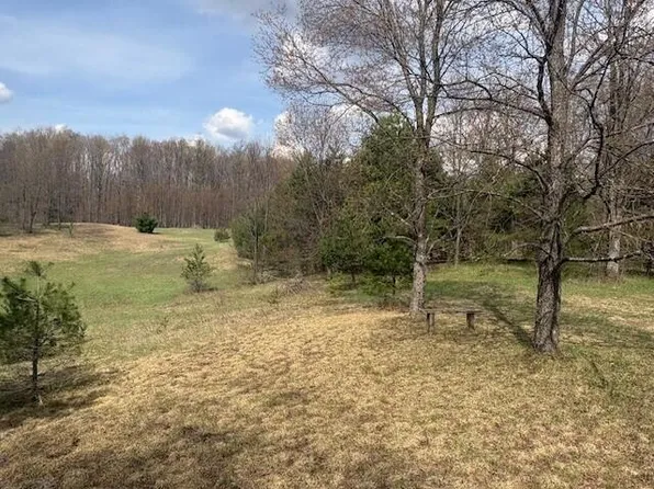 Nn N Asplund Dr, Tustin, MI 49688