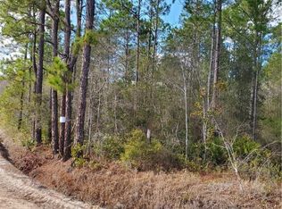 7 Flowers Rd NE, Ludowici, GA 31316