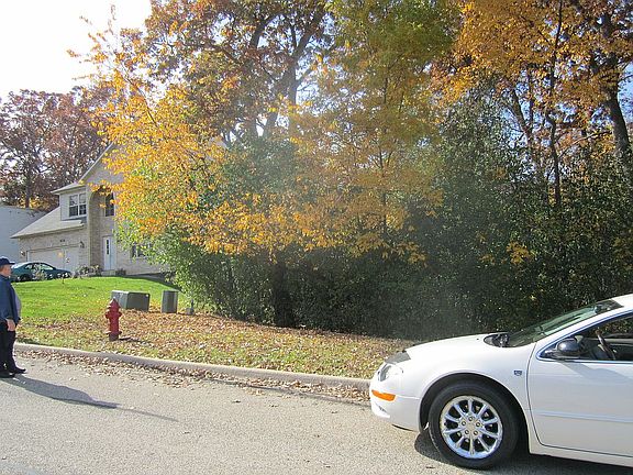 4th image of 1033 Rosewood Dr
