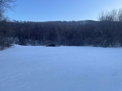 Carriage Ln, Bluefield, VA, 24605