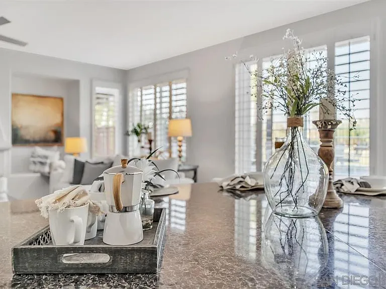 46048 Paseo Gallante — Photo 30
