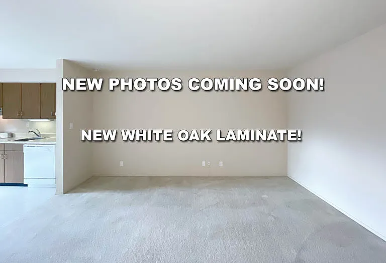 431 Dinahs Ct — Photo 5