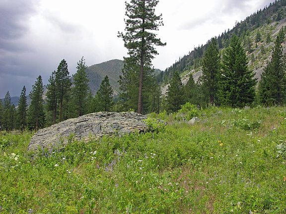 4th image of Nhn Bad Rock Ln