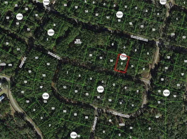 1367 E Urmey Pl, Citrus Springs, FL 34434