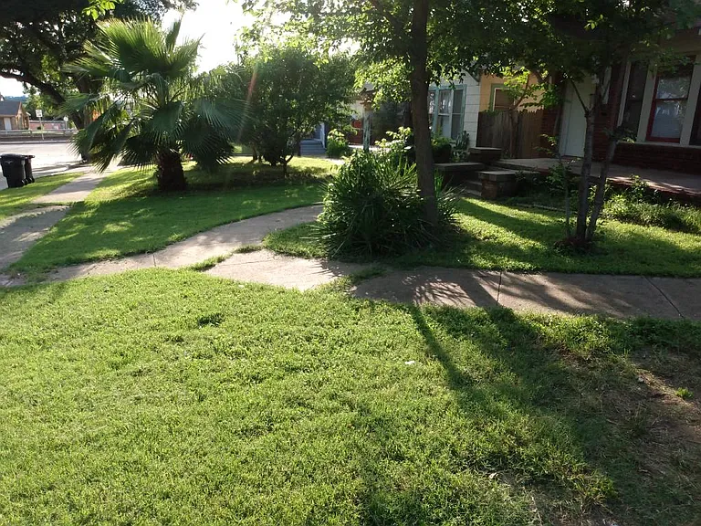 Yard