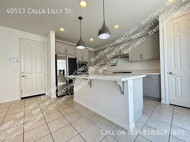 40513 Calla Lilly St — Photo 7