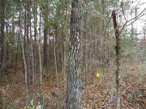 4th image of Shoal Creek Dr