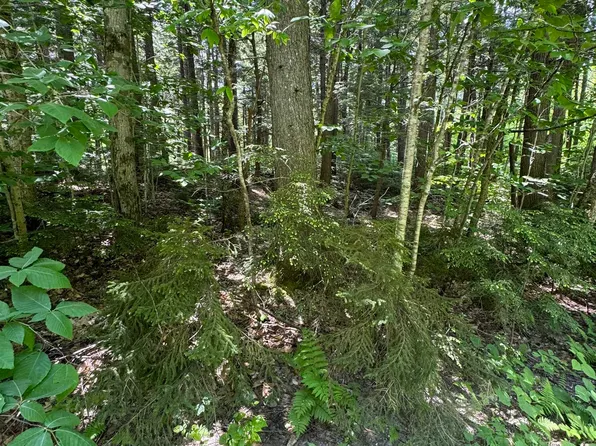 0 Boardman Loop, Wardsboro, VT 05360