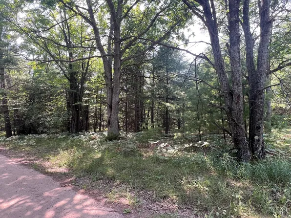 N Everett Rd, Roscommon, MI 48653