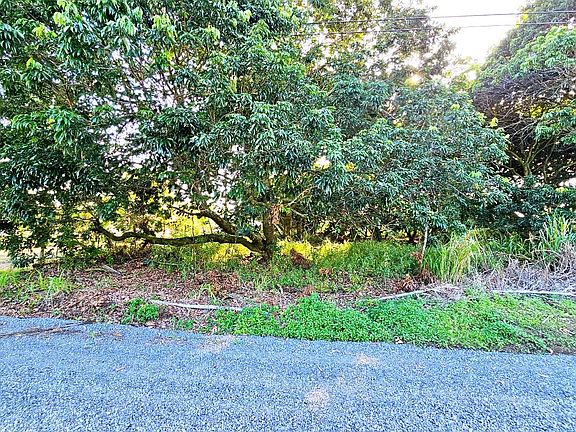 4th image of 16th Ave Lot 651