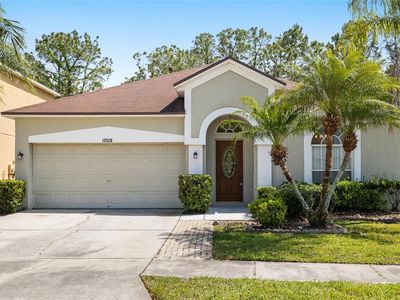 12526 Blazing Star Dr, Tampa, FL, 33626
