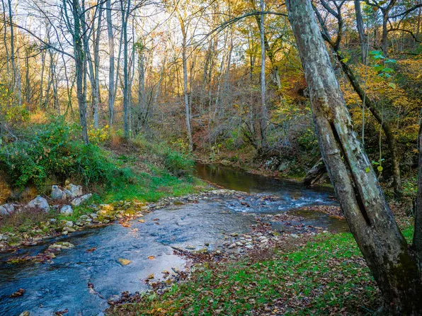 Blackberry Ln, Afton, TN 37616