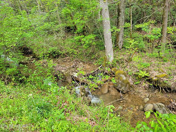 3rd image of LOT 45 Alpine Dr