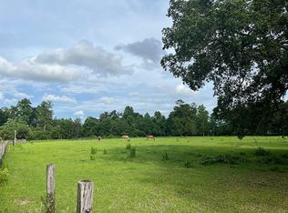 9782 Riverbend Rd, Glen Saint Mary, FL 32040