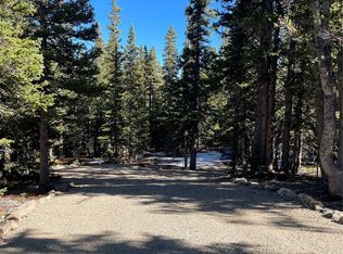 1401 Prunes Pl, Fairplay, CO 80440