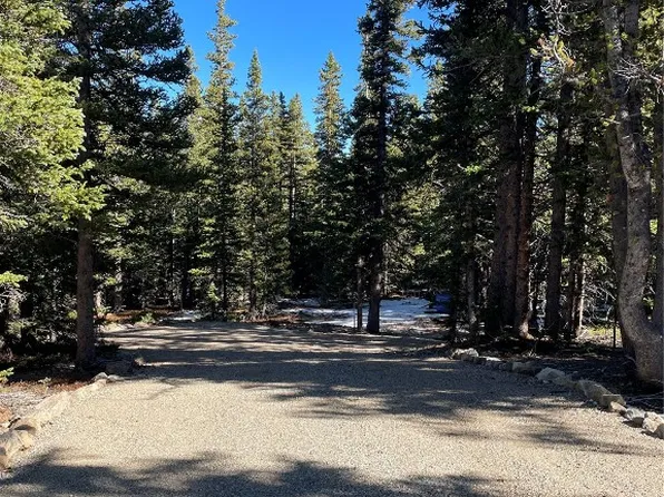 1401 Prunes Pl, Fairplay, CO 80440