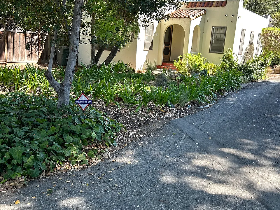 Berkeley Ave