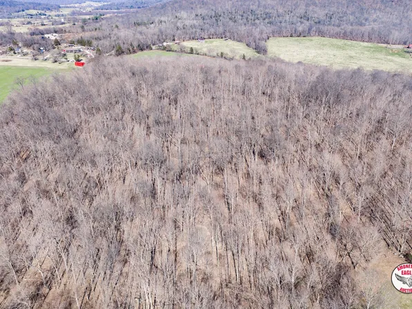 15 Highway 127/cooney Lee Rd/flowers Ln, Pall Mall, TN 38577