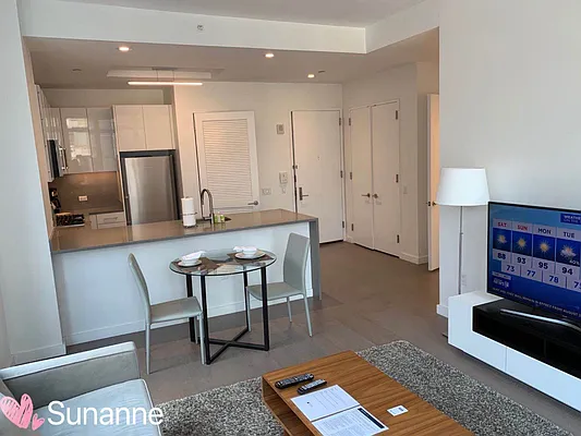 Rented by Asian American Real Estate Brokerage LLC | media 23