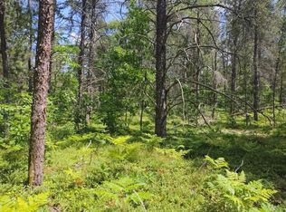 Camp Rd PARCEL 4, Millersburg, MI 49759