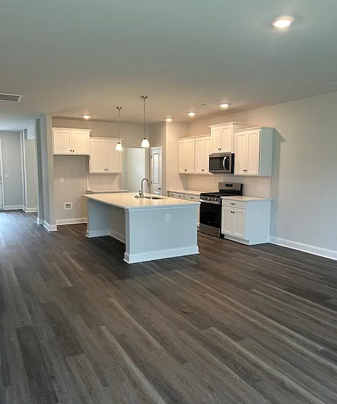 233 Goose Pond Dr — Photo 11