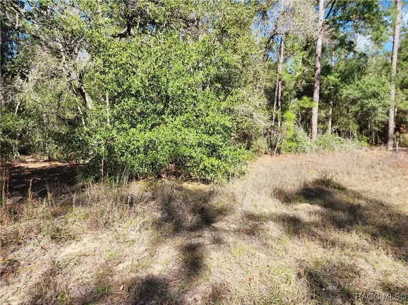 8760 N Malibu Rd, Citrus Springs, FL 34434