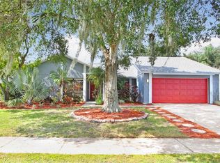 4317 Ellenville Pl, Valrico, FL 33596