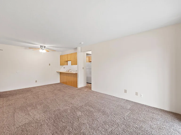Living room/kitchen