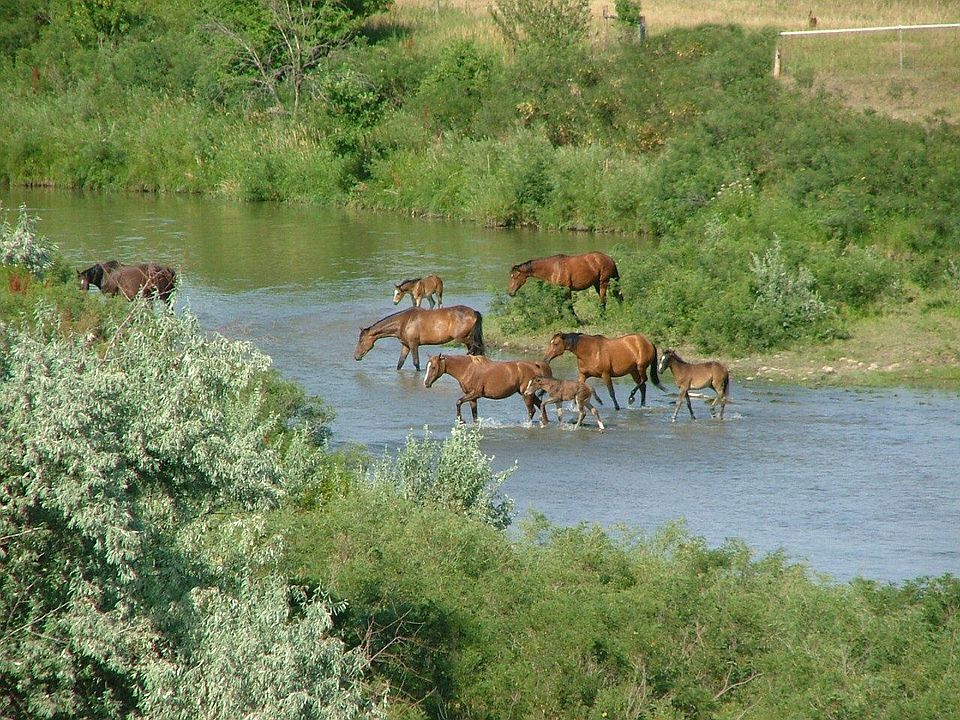 12850 Rivervale Farm Ln, Nisland, SD 57762 Zillow