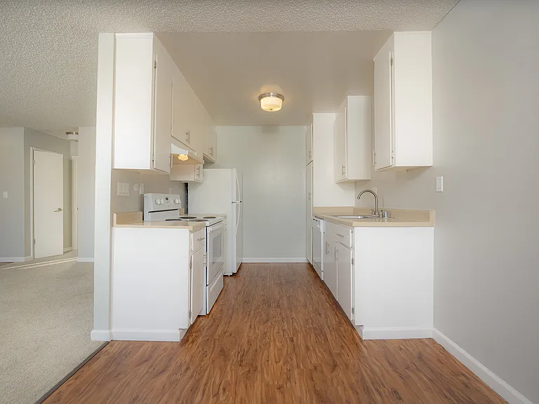 Oliva UNIT#24 kitchen (2)