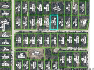 13177 Trapper John Rd, Weeki wachee, FL 34614