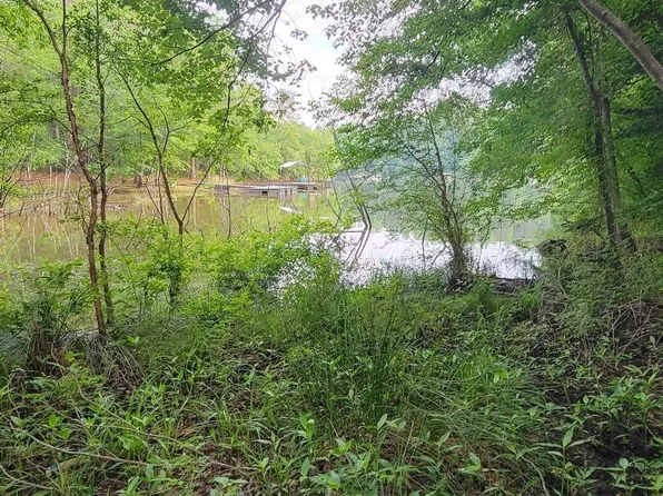 53 Lewis Dr, Lavonia, GA 30553