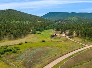 118 Chuckling Creek Rd, Bailey, CO 80421