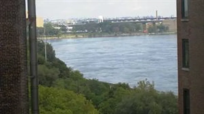 Rented by Douglas Elliman | media 11