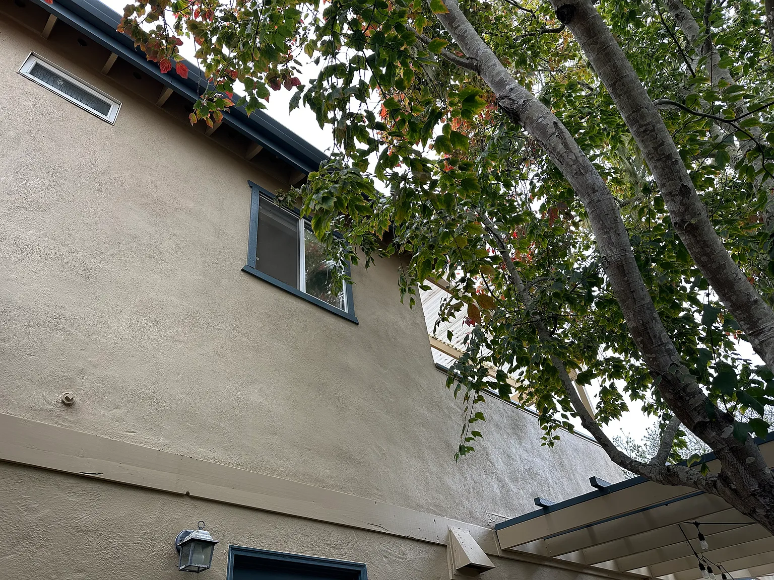 1 bed, $2,600 — Photo 2