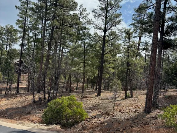 1661 W Snow Creek Loop, Show Low, AZ 85901