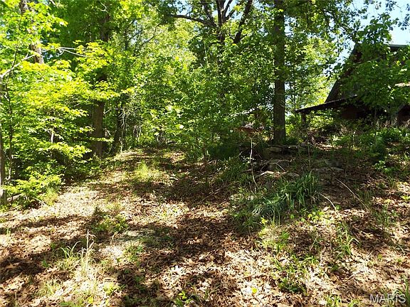 5th image of 19684 Brownville Rd