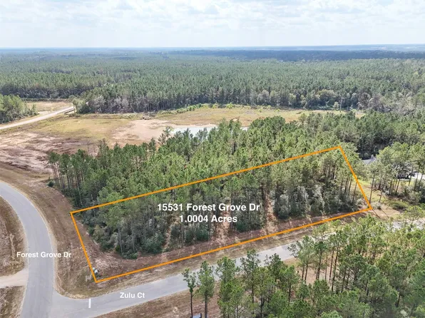 15531 Forest Grove Dr Lot 5, Willis, TX 77378