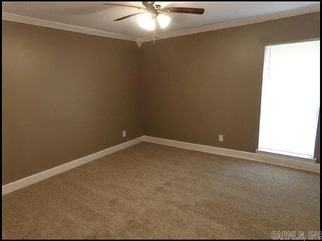 96 Deer Run Dr — Photo 10