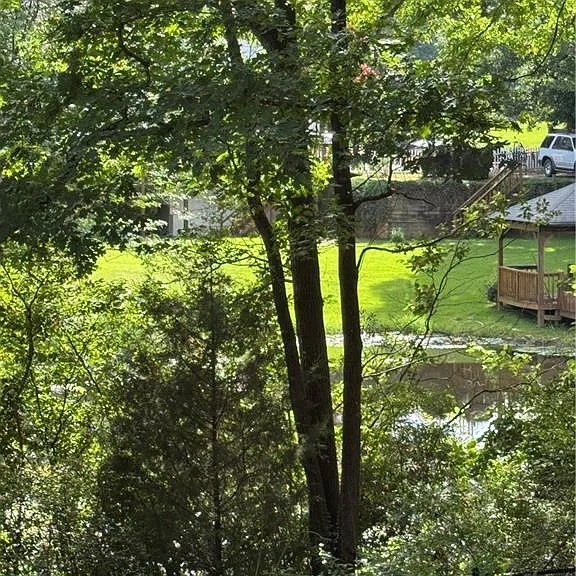 903 Woodlawn Dr NE — Photo 20